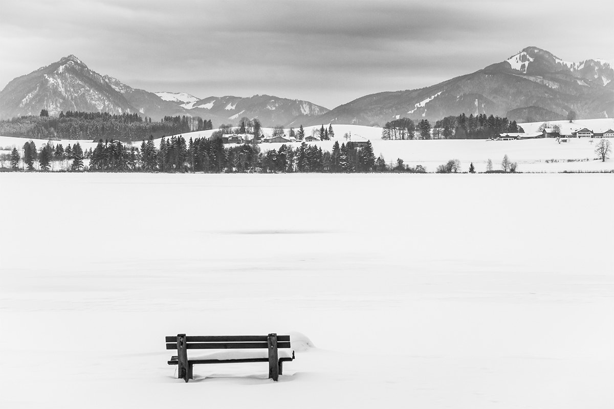 Sigma 18-200mm f/3.5-6.3 DC OS sample photo. The bench photography
