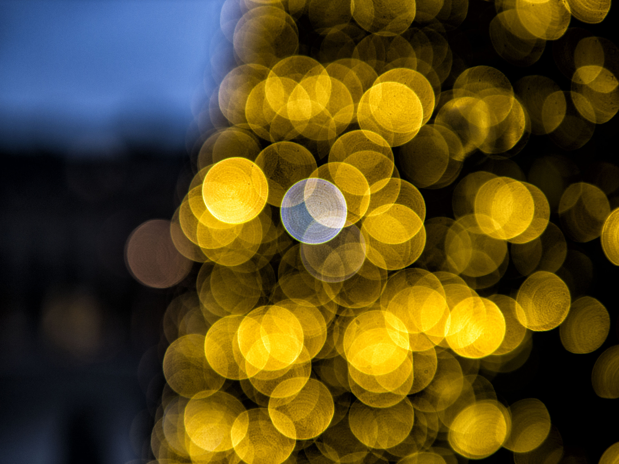 Panasonic Leica DG Summilux 25mm F1.4 II ASPH sample photo. Dedicated to bokeh enthusiasts photography