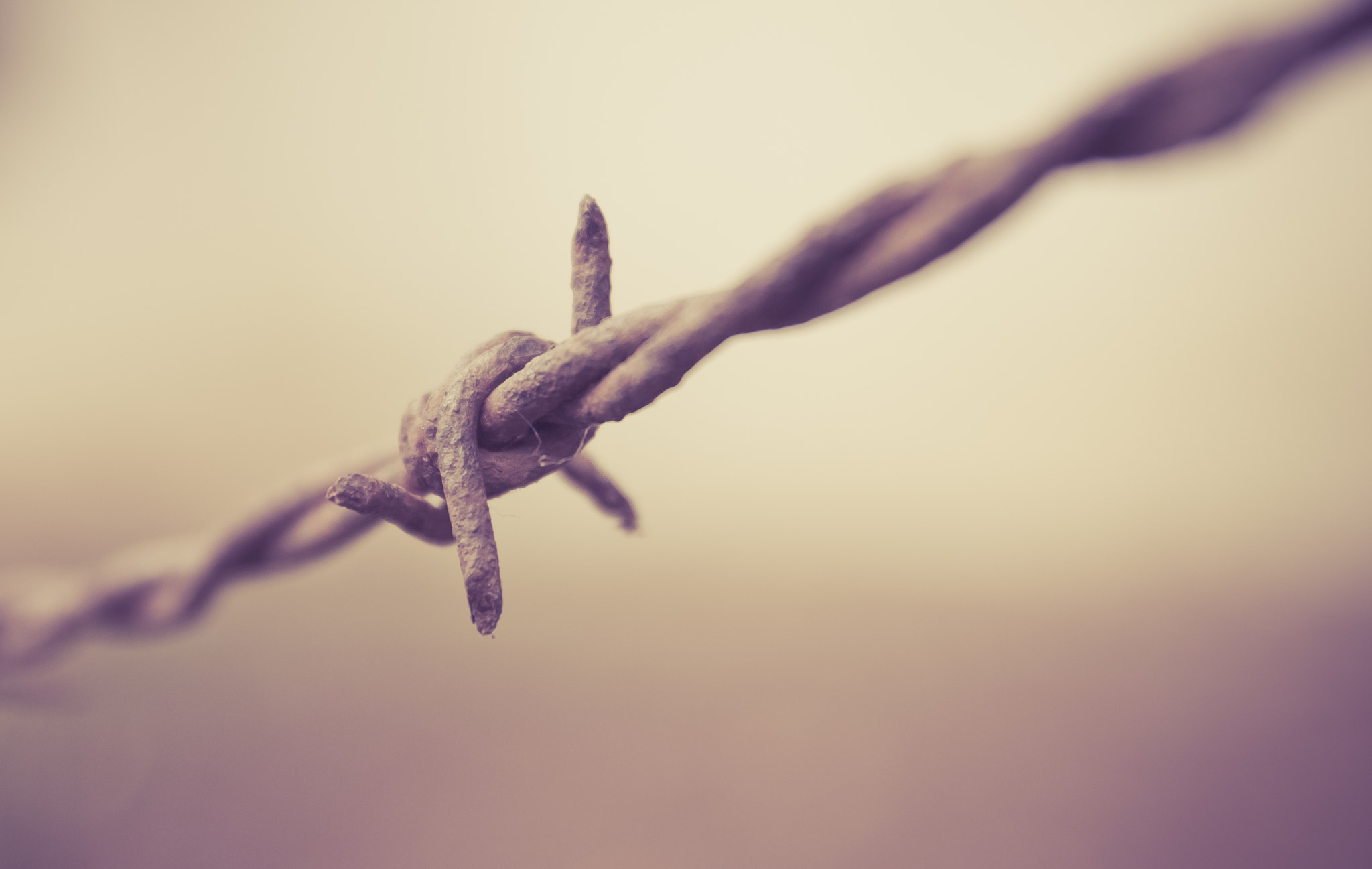 Canon EOS 600D (Rebel EOS T3i / EOS Kiss X5) sample photo. Abstract barbed wire vintage style background. photography