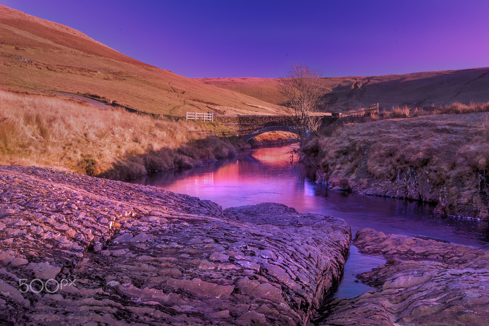Nikon D500 sample photo. Bridge over calm waters photography