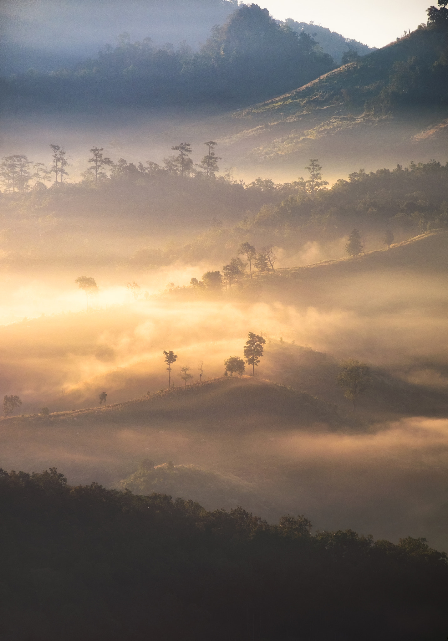 Fujifilm XF 55-200mm F3.5-4.8 R LM OIS sample photo. Sunrise on misty hill photography