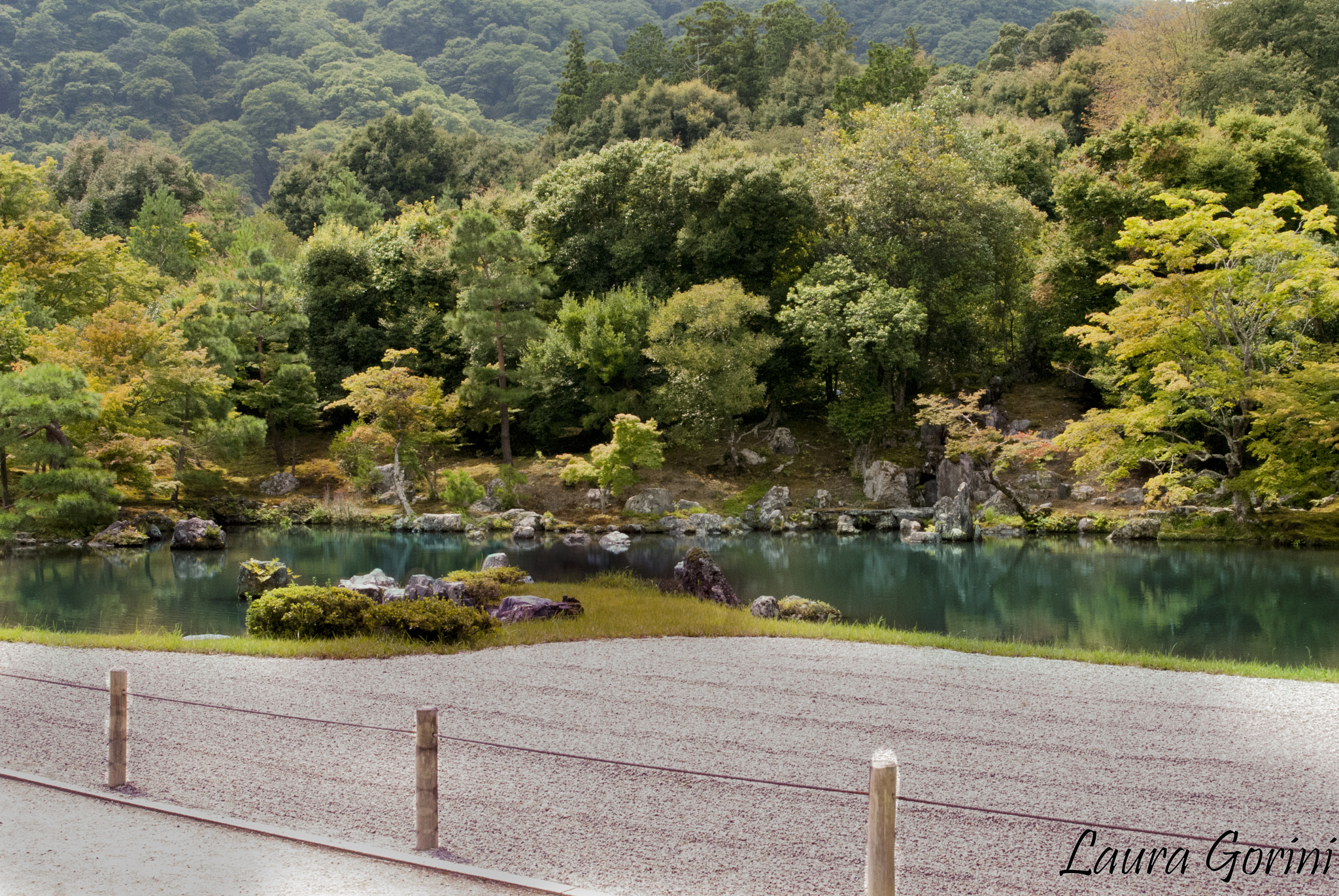 AF Zoom-Nikkor 28-80mm f/3.3-5.6G sample photo. Dsc photography