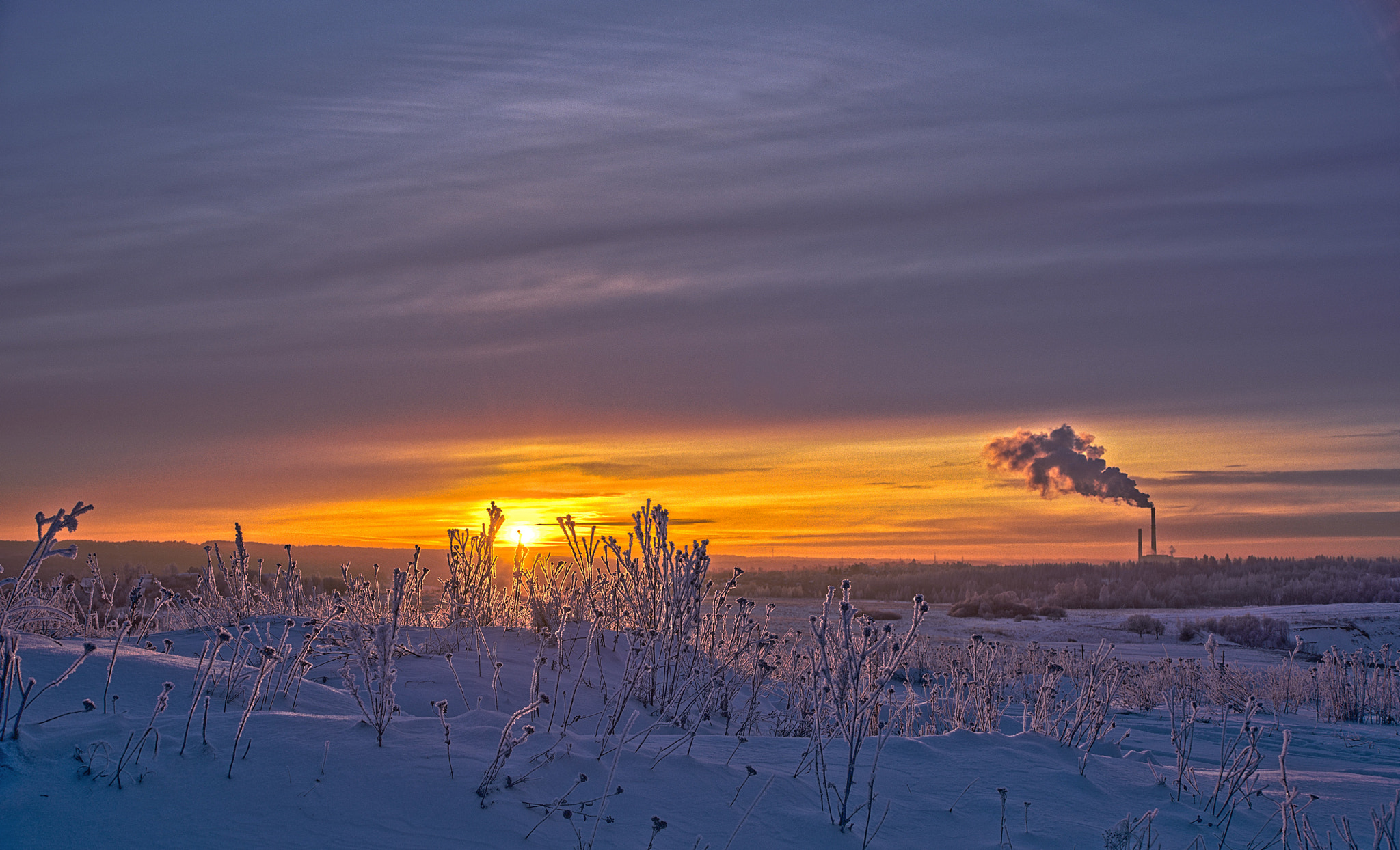 Sony a99 II sample photo. Frosty morning... photography