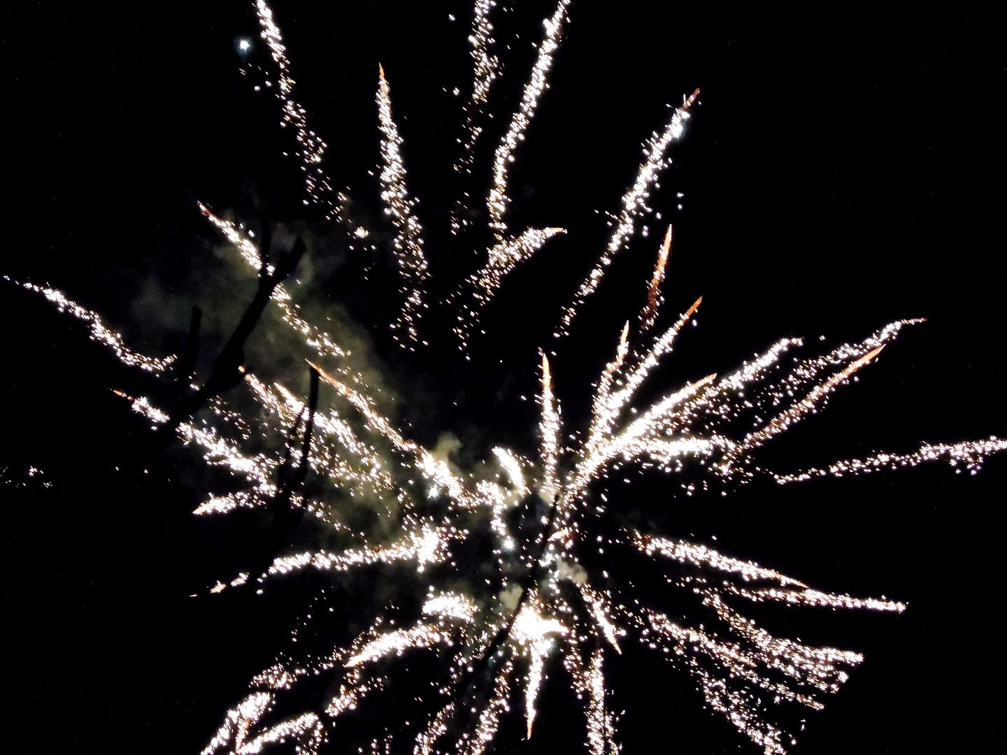 Nikon Coolpix P300 sample photo. Fireworks photography