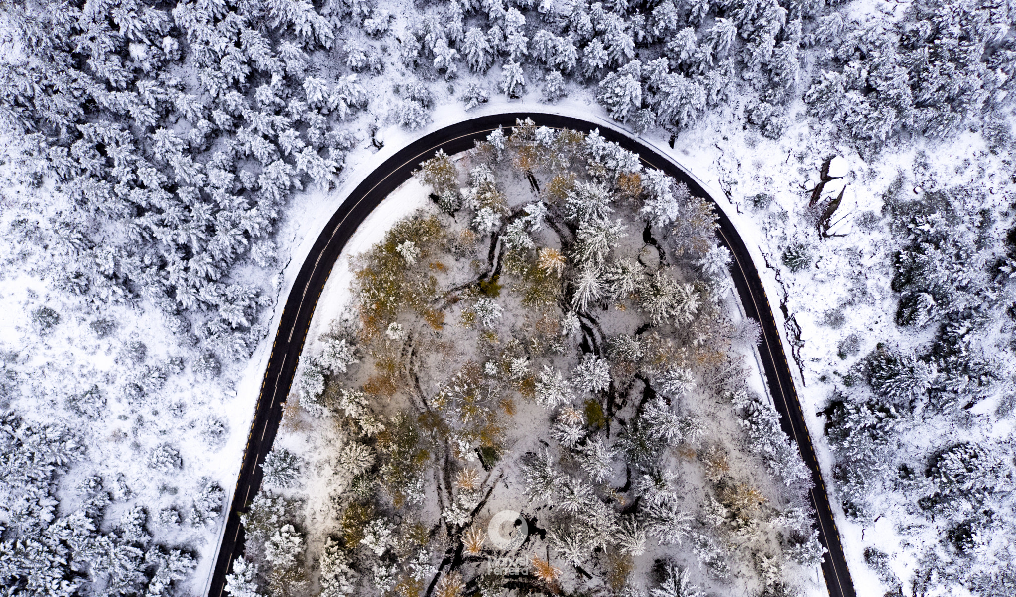DJI FC550 sample photo. U photography