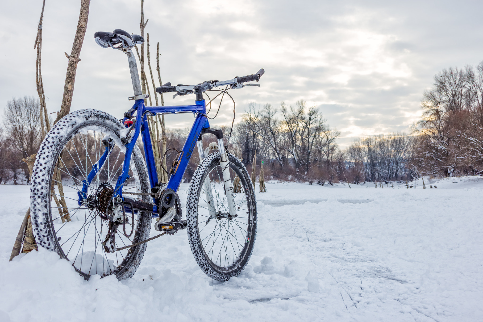 Canon EF-S 18-55mm F3.5-5.6 II sample photo. Winter mtb photography