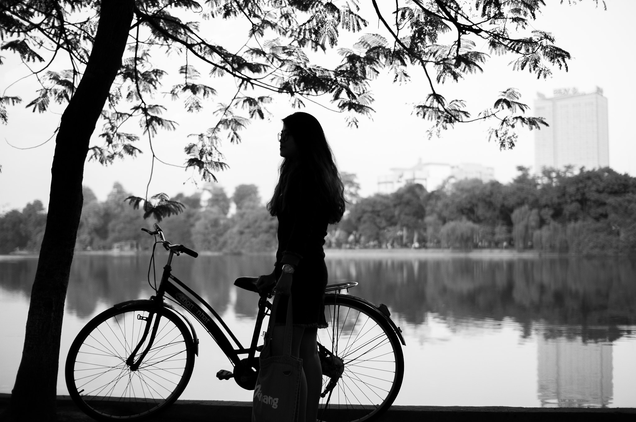 Nikon D300S + Sigma 30mm F1.4 EX DC HSM sample photo. Bike from the past photography