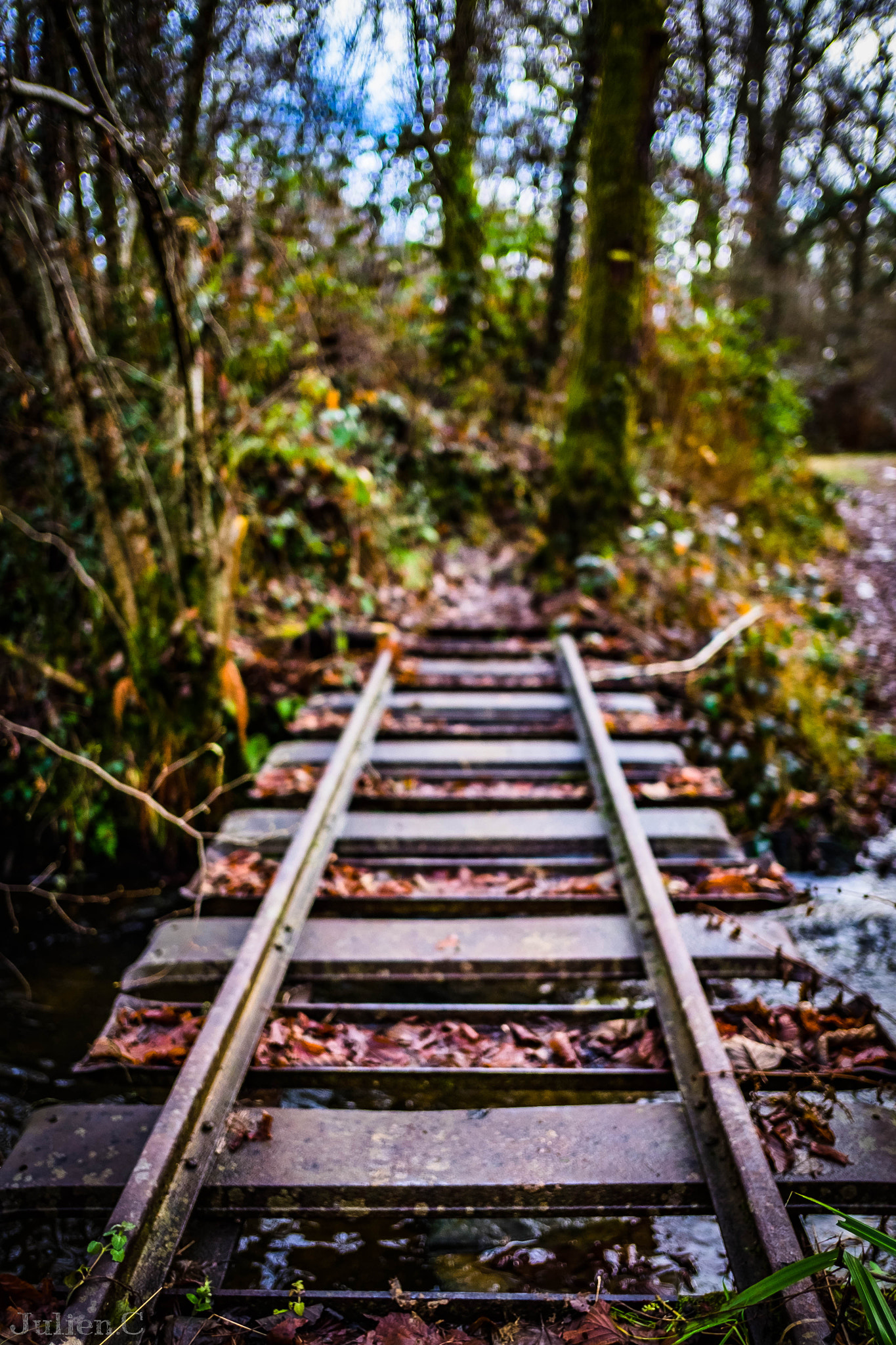 Fujifilm X-T1 sample photo. Why take the train to get to the other side photography