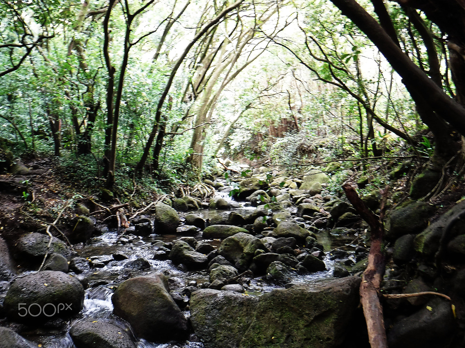 Fujifilm FinePix XP90 XP91 XP95 sample photo. 82.jpg photography
