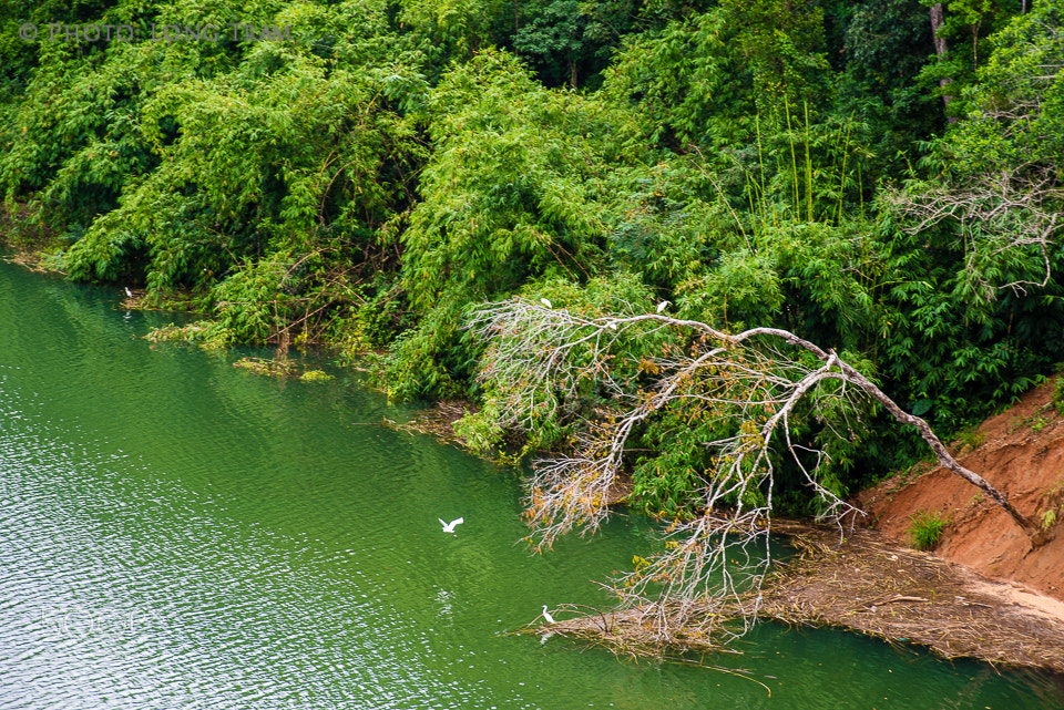 Nikon D600 + AF Zoom-Nikkor 28-105mm f/3.5-4.5D IF sample photo. Bảo lộc, lâm Đồng photography