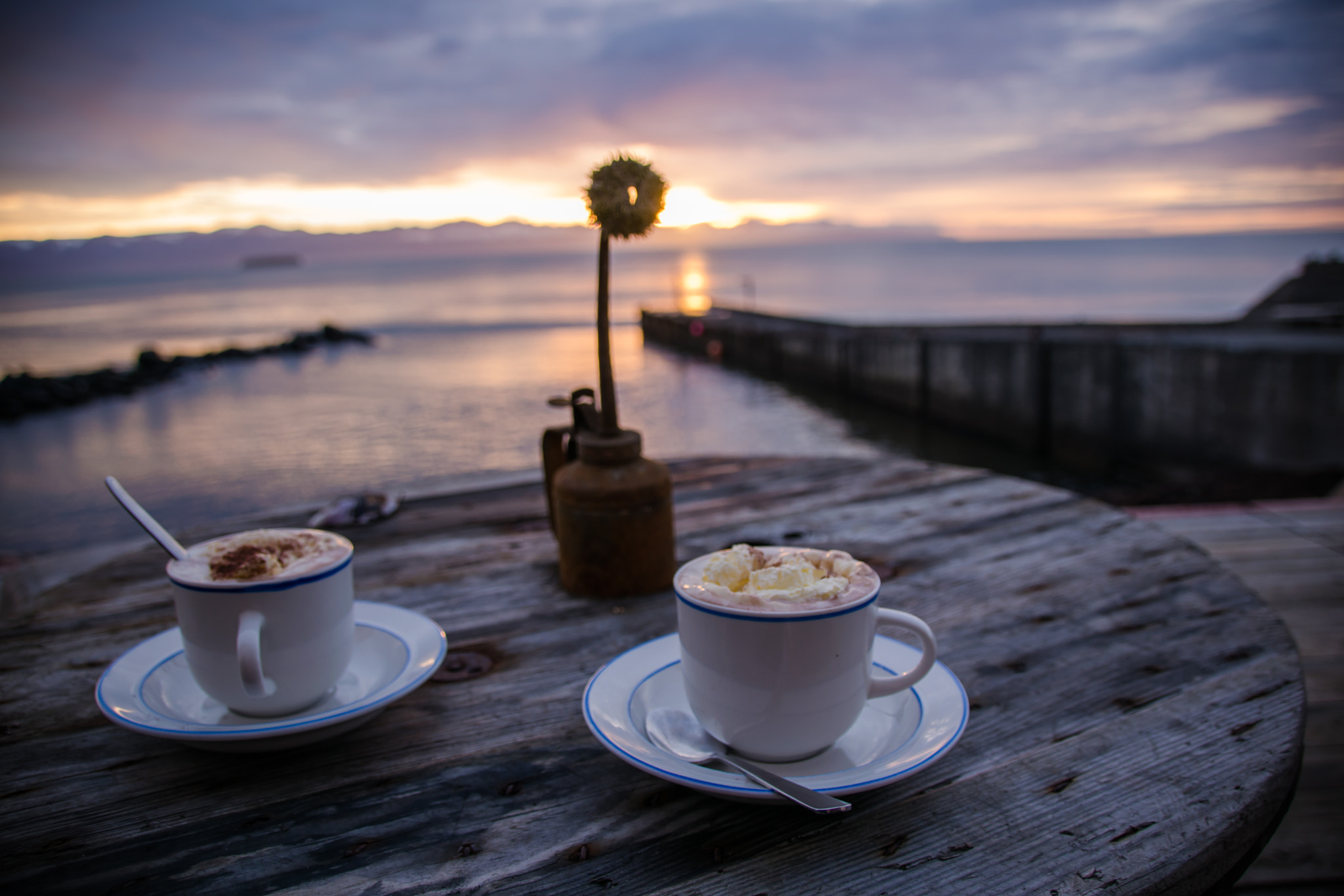 Sigma 18-250mm F3.5-6.3 DC Macro OS HSM sample photo. Icelandic coffee time photography