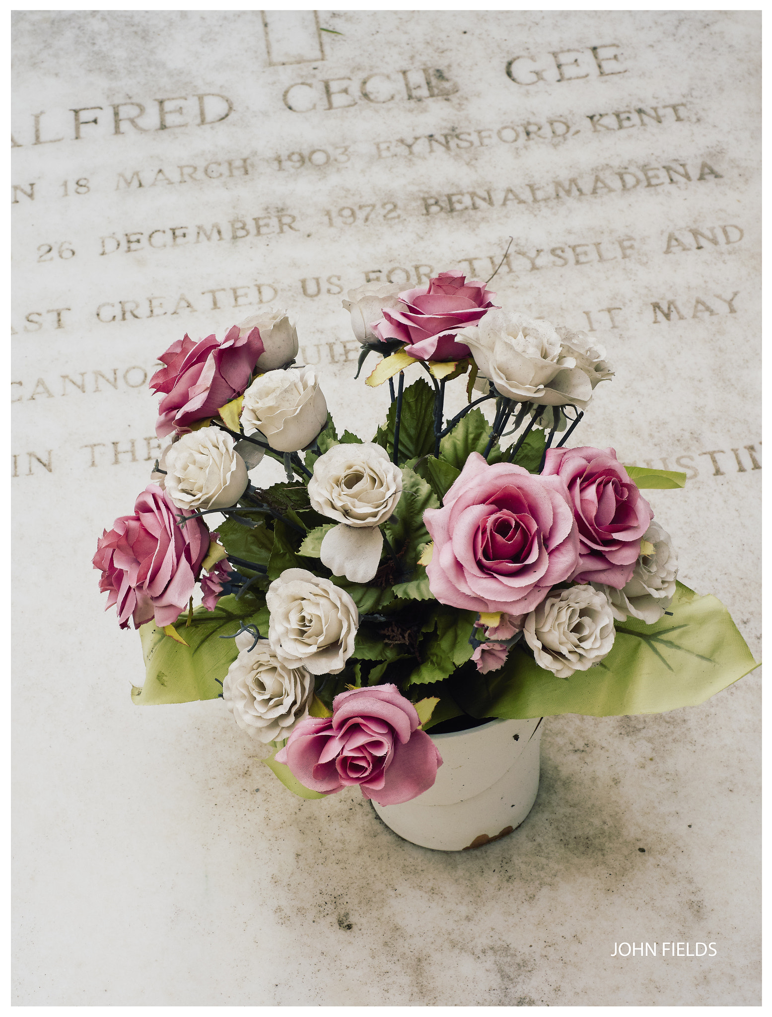 Panasonic Lumix DMC-GX8 + Olympus M.Zuiko Digital ED 12-40mm F2.8 Pro sample photo. Málaga (8) english cemetery photography