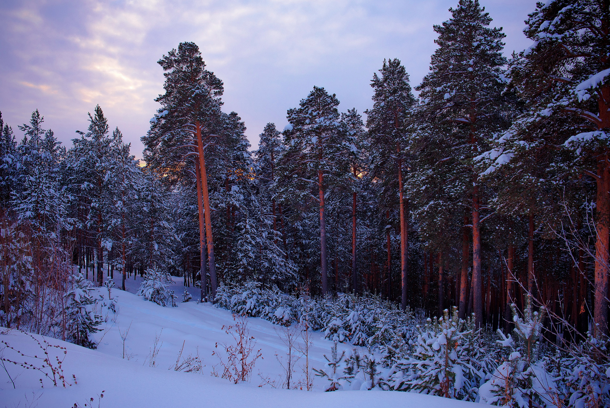 Nikon D610 + Nikon AF-S Nikkor 28mm F1.8G sample photo. "Вечер" photography