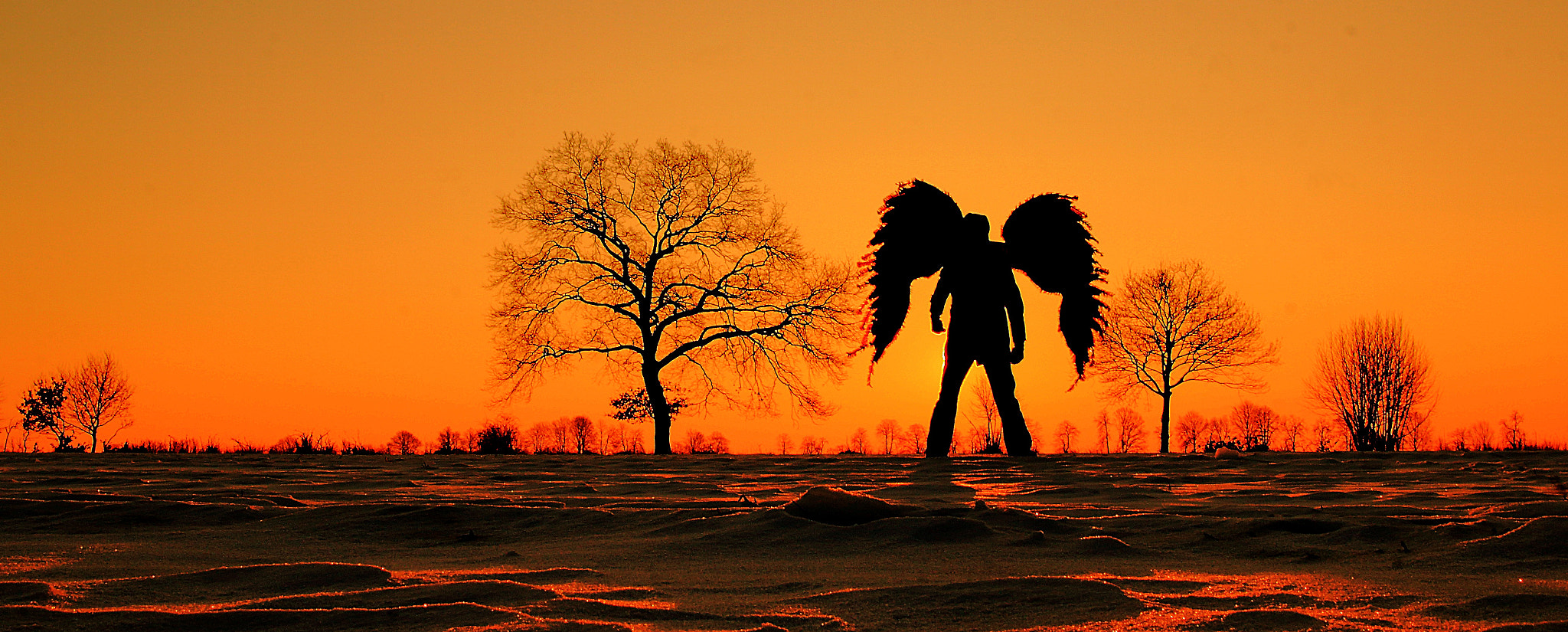 Canon EF 24mm F1.4L II USM sample photo. Orange angel photography