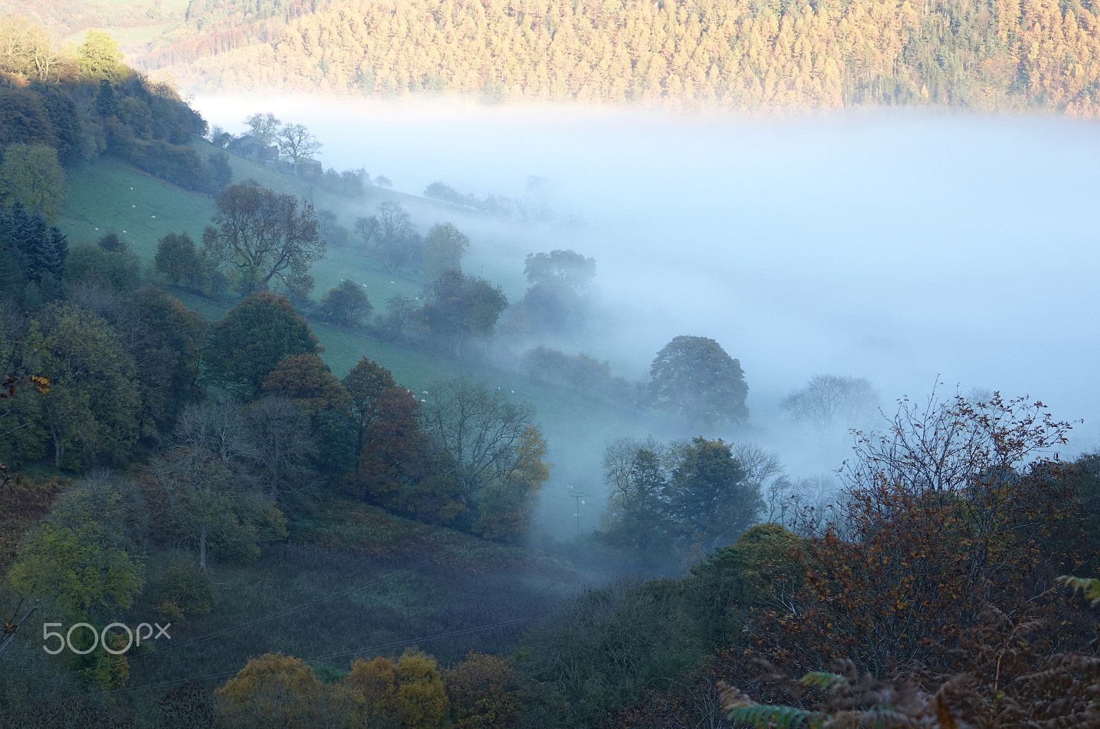 Sony Cyber-shot DSC-RX10 + Sony 24-200mm F2.8 sample photo. Sea of fog........ photography