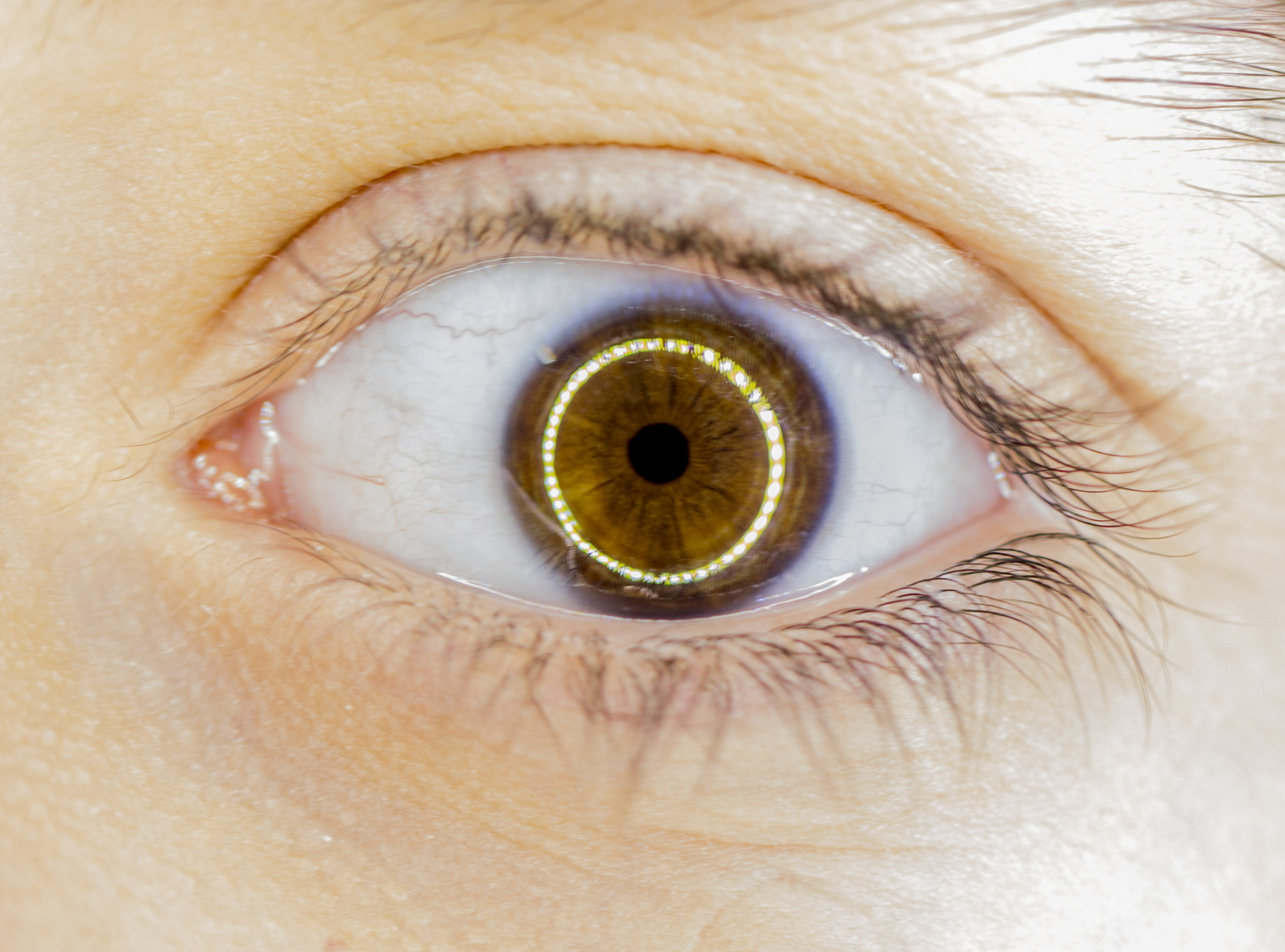 Canon EF 100mm F2.8L Macro IS USM sample photo. Eye macro photography