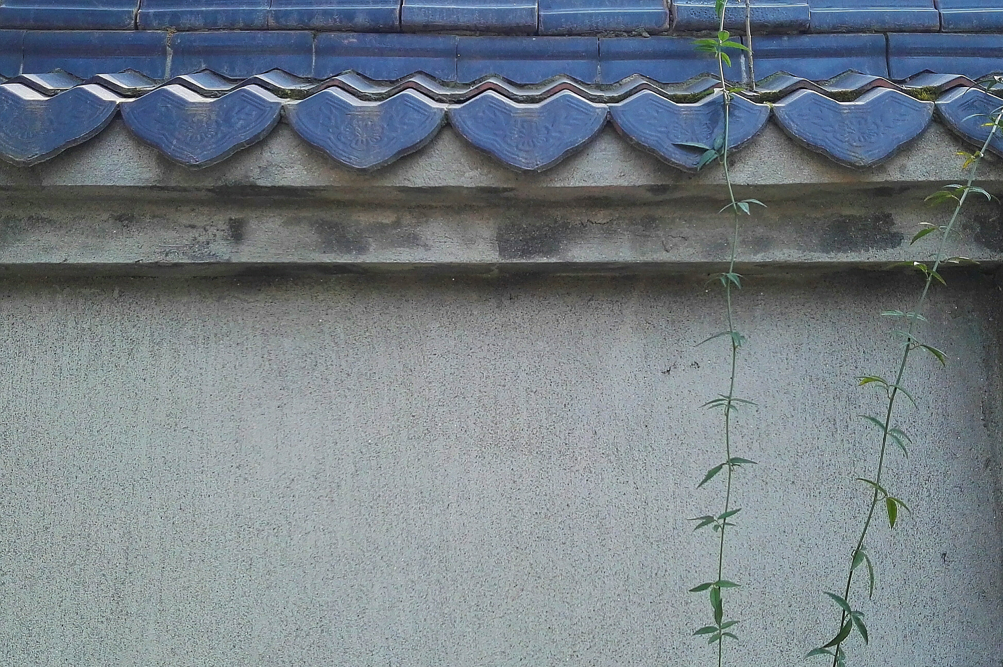 HUAWEI DAV sample photo