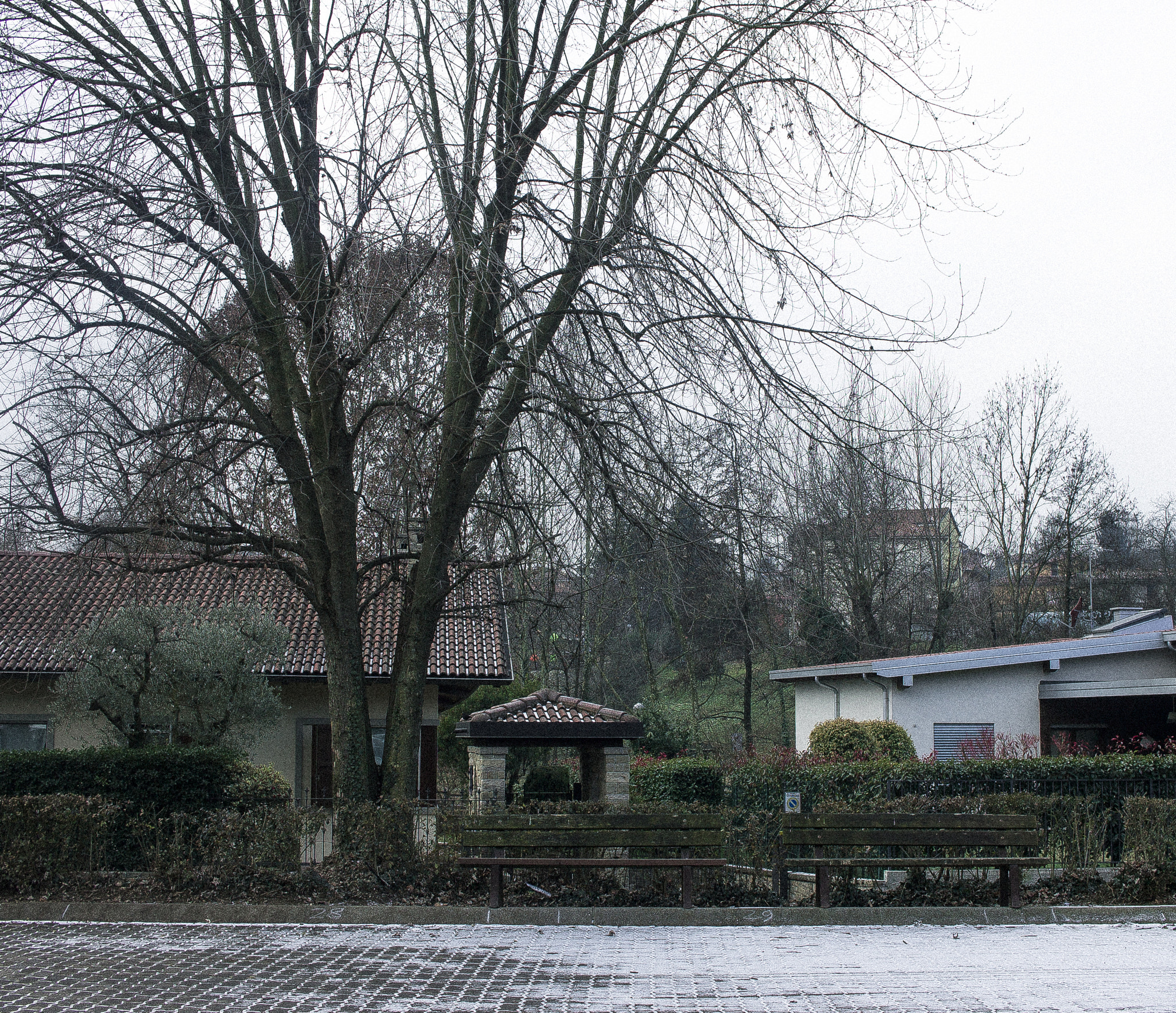 Canon EF-S 24mm F2.8 STM sample photo