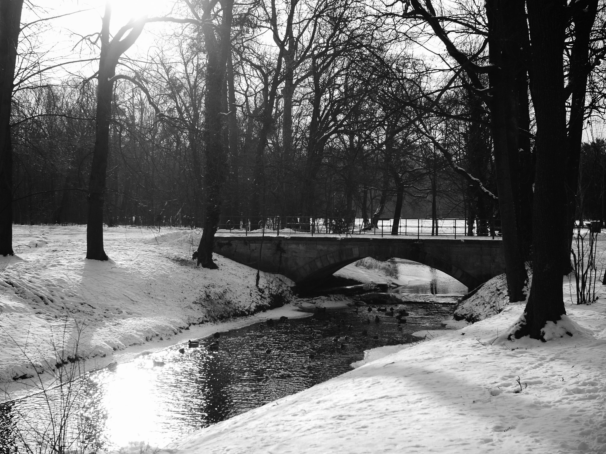 Panasonic Lumix DMC-L1 + Panasonic Leica D Summilux Asph 25mm F1.4 sample photo. Laxenburg in black&white_4 photography