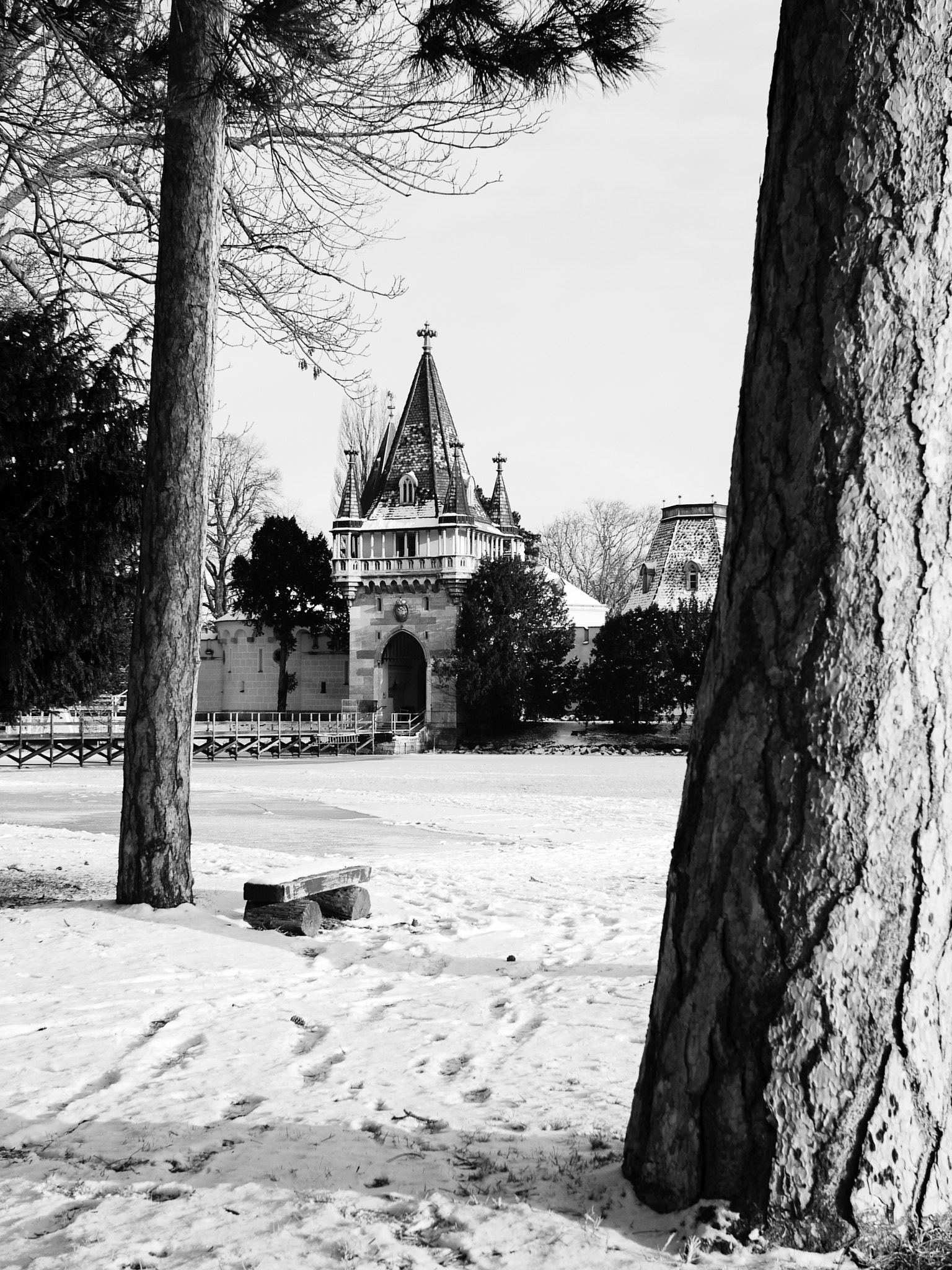 Panasonic Lumix DMC-L1 + Panasonic Leica D Summilux Asph 25mm F1.4 sample photo. Laxenburg in black&white_3 photography