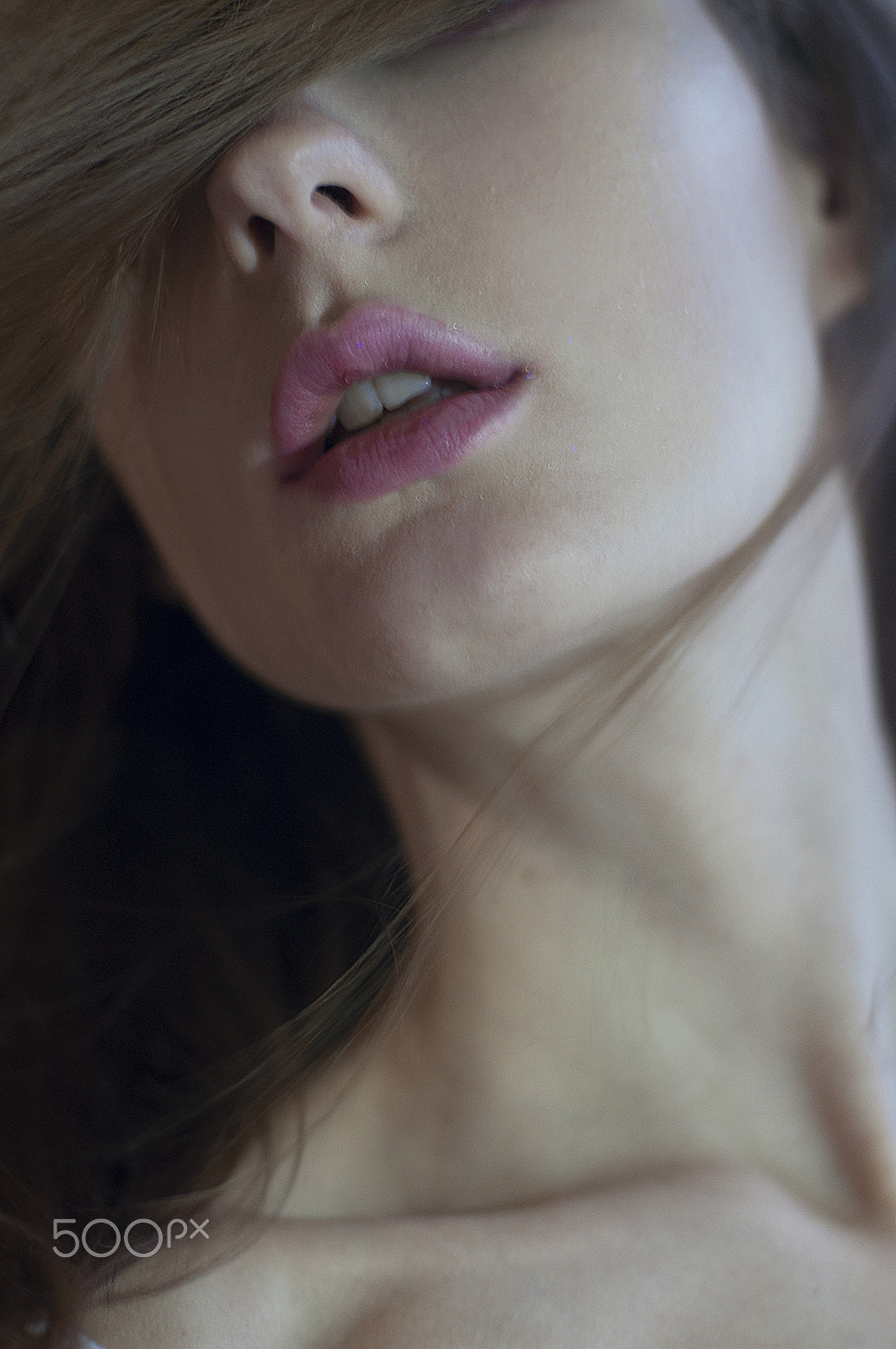 Nikon D90 + Nikon AF Nikkor 50mm F1.4D sample photo. . photography