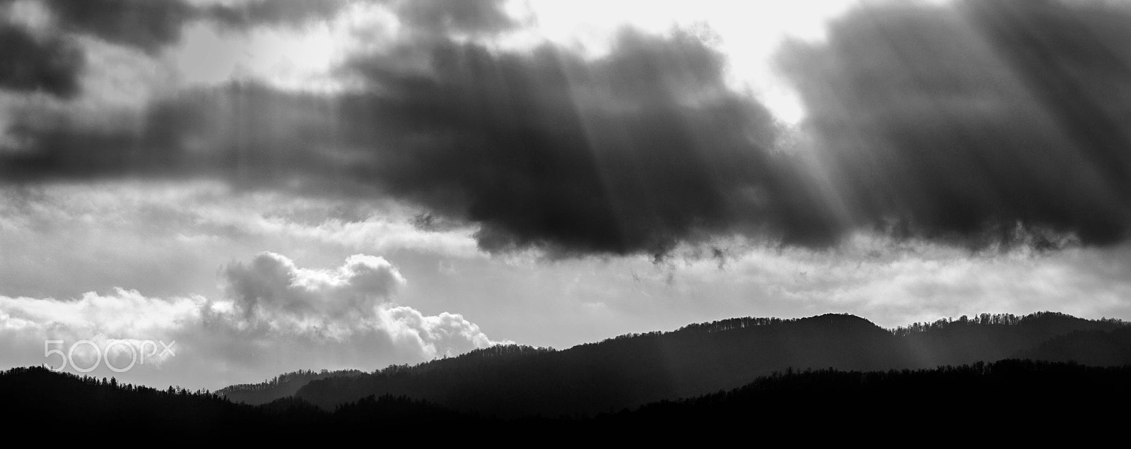 Canon EOS 600D (Rebel EOS T3i / EOS Kiss X5) sample photo. " peace " photography