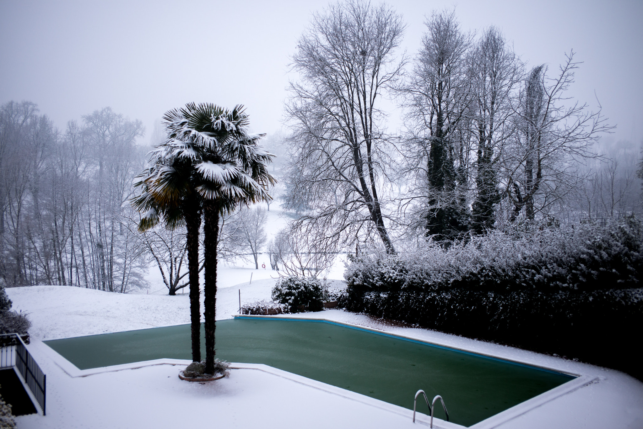 Summicron-M 1:2/35 ASPH. sample photo. Winter time photography