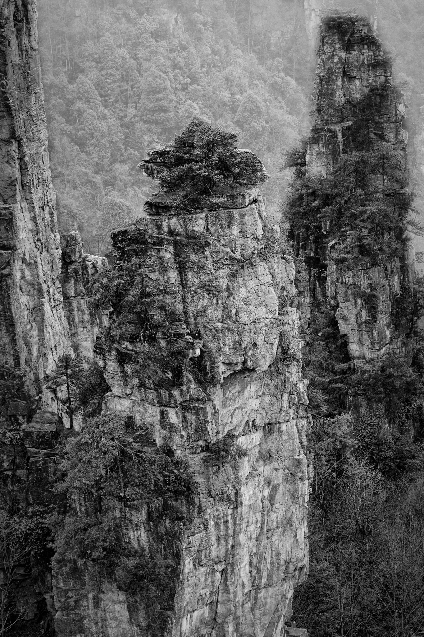 Canon EOS 5DS + Sigma 24-70mm F2.8 EX DG Macro sample photo. Zhangjiajie 3 photography