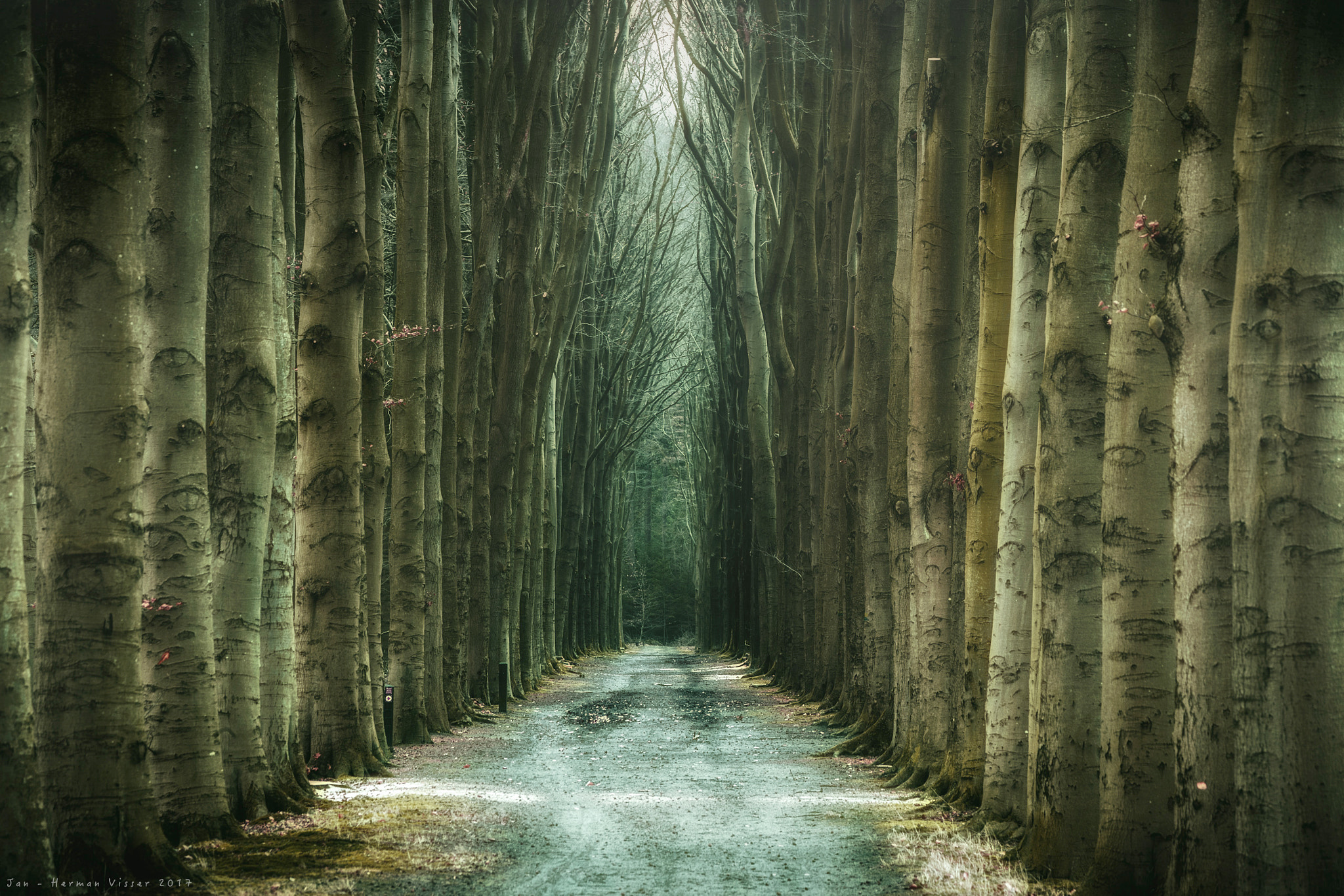 Canon EF 50-200mm f/3.5-4.5 sample photo. The path of the gods... photography
