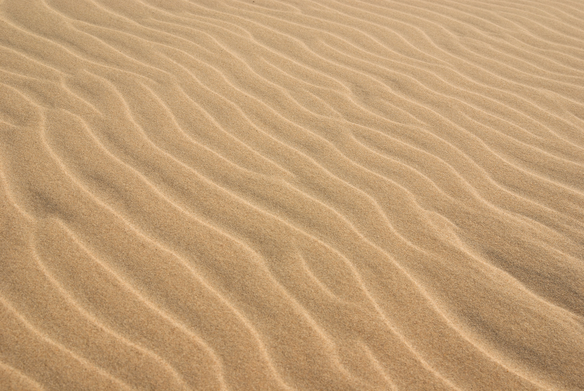 Pentax K10D sample photo. Sand patterns photography