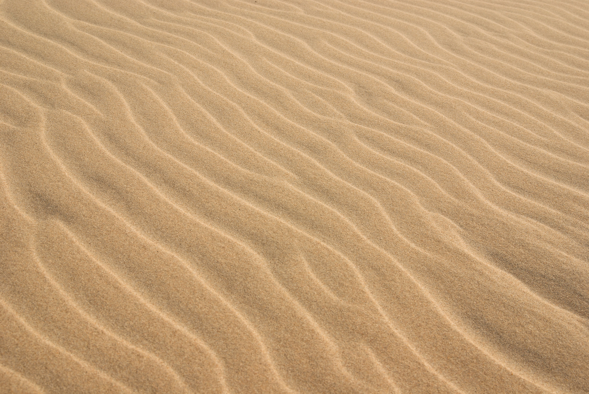 Pentax K10D + Sigma AF 10-20mm F4-5.6 EX DC sample photo. Sand patterns photography