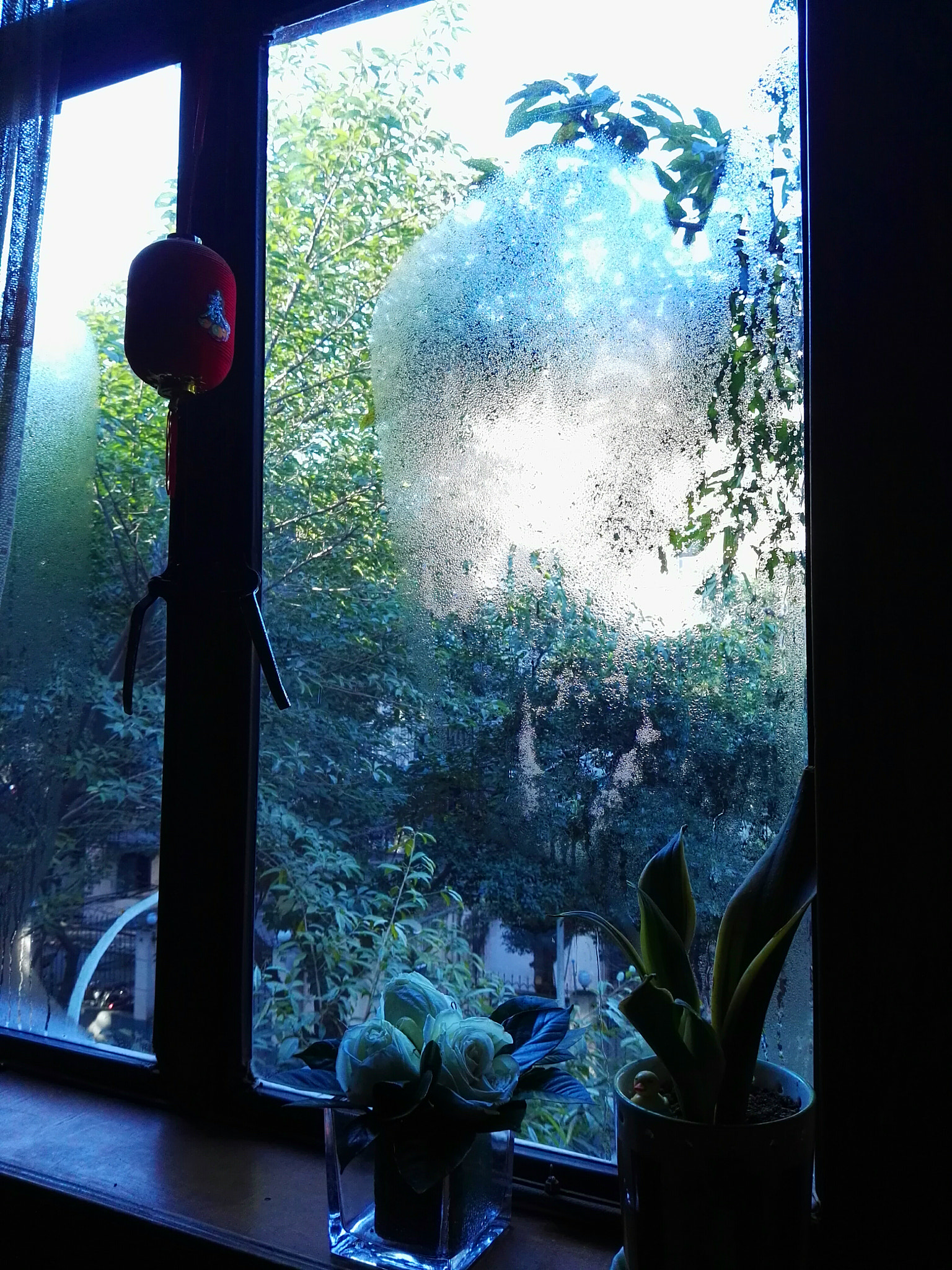 HUAWEI DAV sample photo