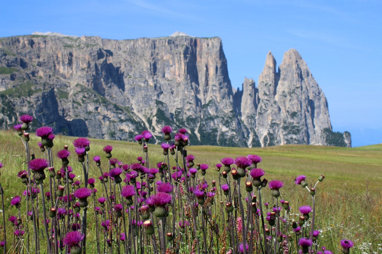 Canon EF-S 18-55mm F3.5-5.6 III sample photo. Rifugio bolzano photography