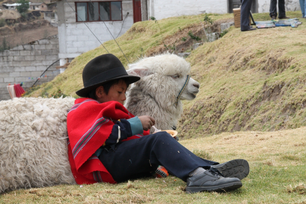 Canon EOS 1100D (EOS Rebel T3 / EOS Kiss X50) sample photo. Ecuador photography