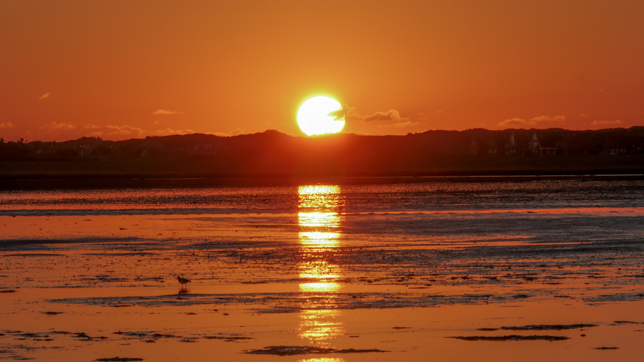 Panasonic Lumix DMC-GH4 sample photo. Low tide at juist (d), waddensea photography