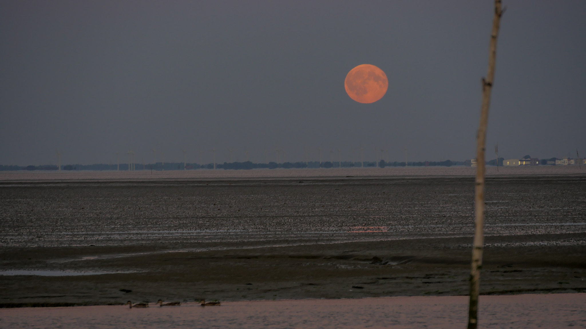 Panasonic Lumix DMC-GH4 sample photo. Low tide at juist (d), waddensea photography