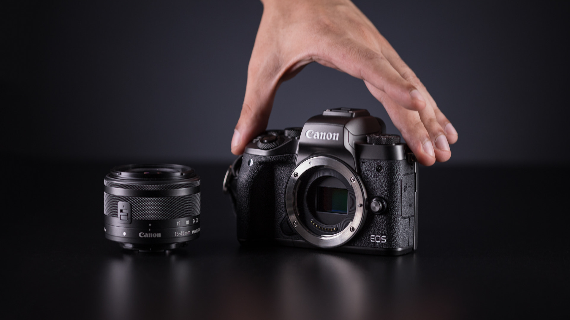 Canon EOS 5D Mark IV + Canon EF 135mm F2L USM sample photo. Canon eos m5 photography