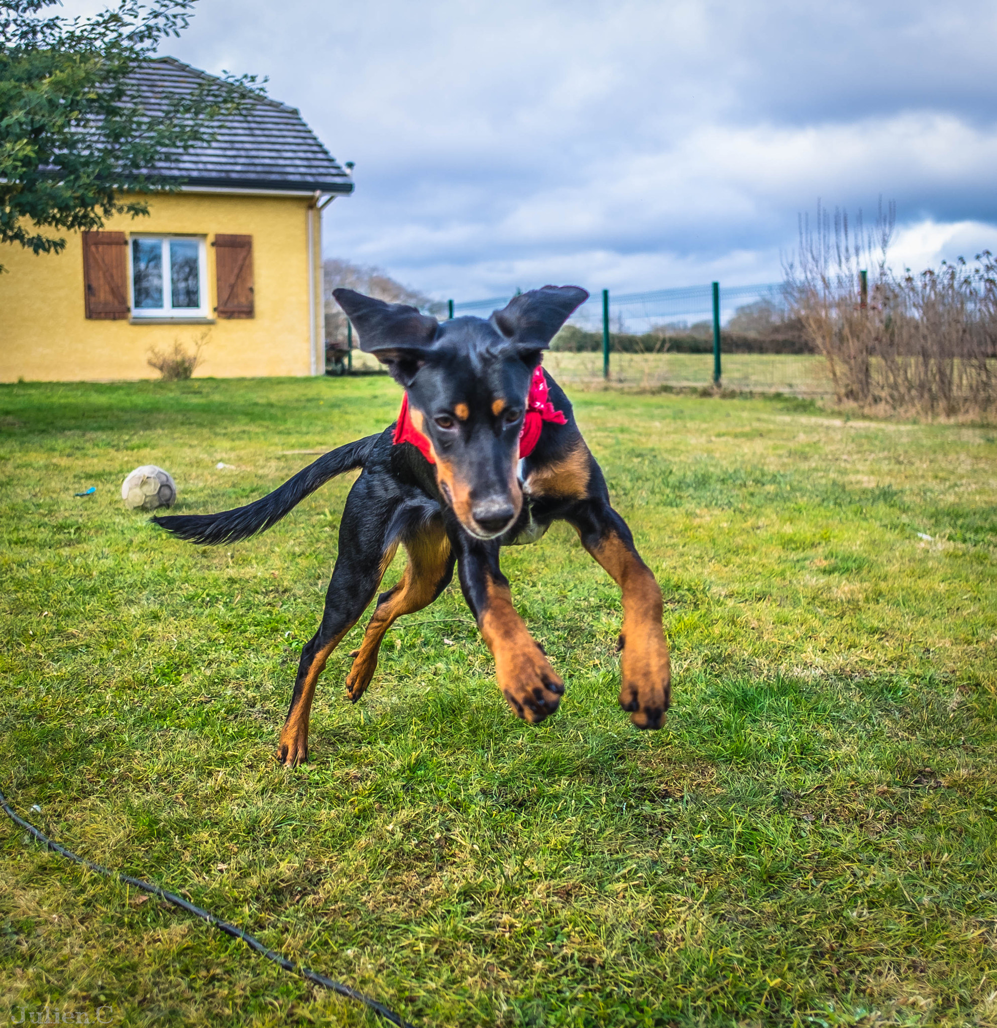Fujifilm X-T1 + Fujifilm XF 18mm F2 R sample photo. Stick photography