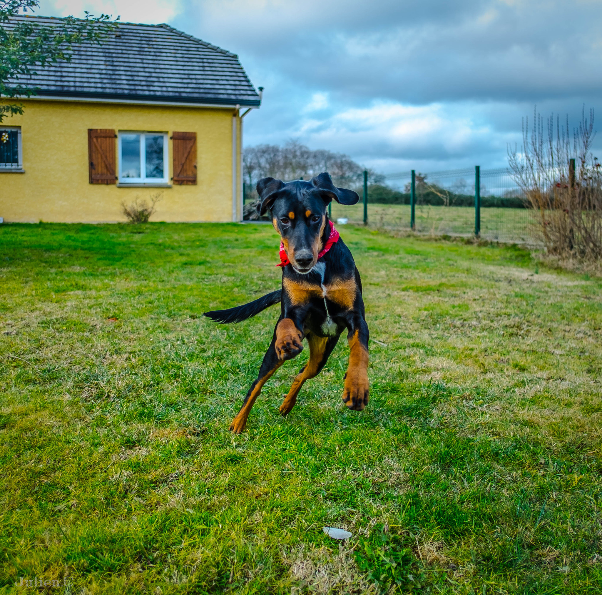 Fujifilm X-T1 + Fujifilm XF 18mm F2 R sample photo. The ball the ball or it and photography