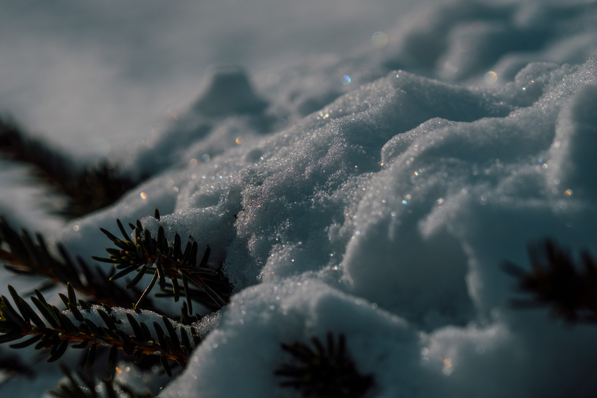 Fujifilm X-Pro2 sample photo. Sparkling snow photography