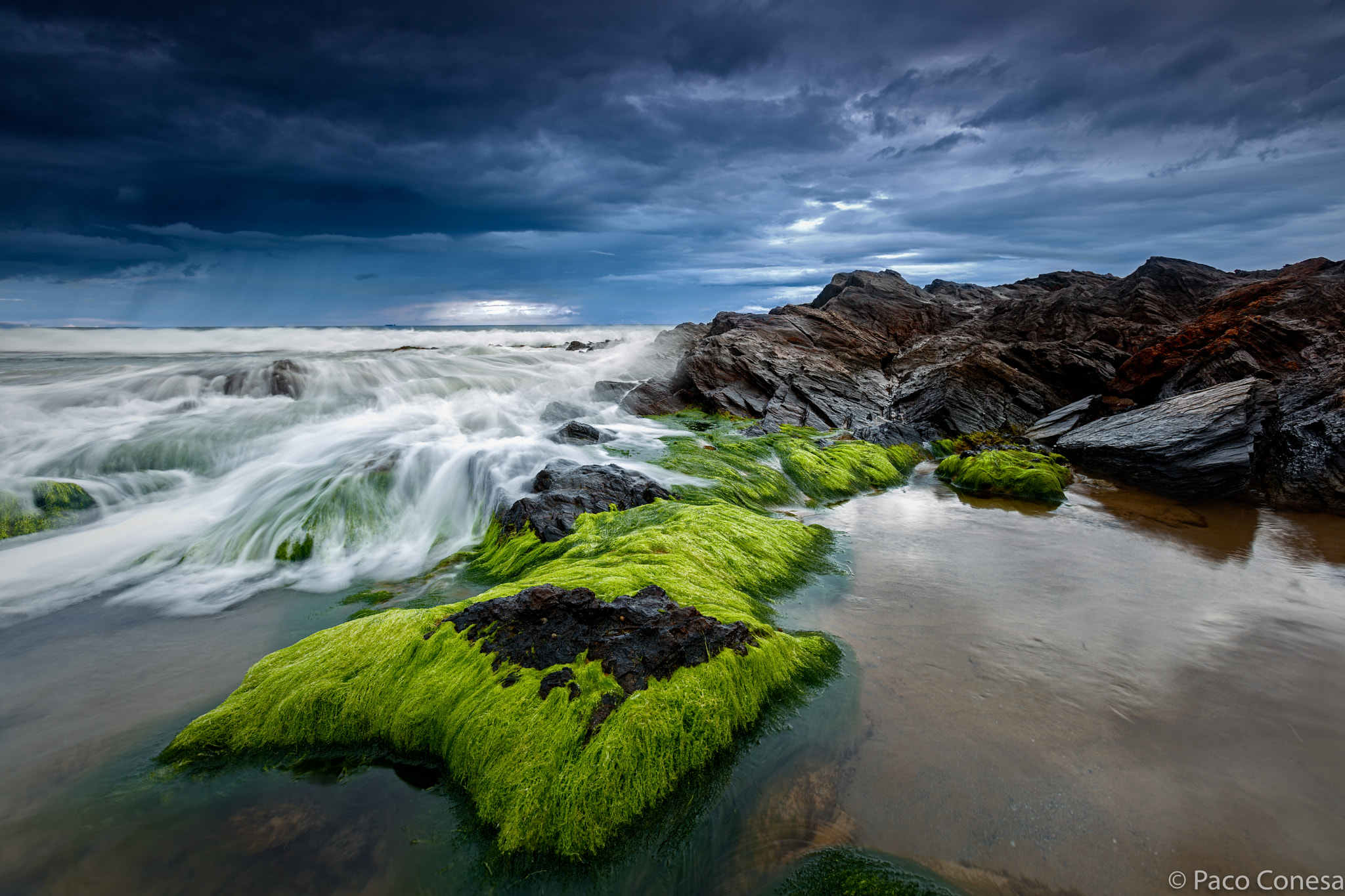 Canon EF 16-35mm F2.8L USM sample photo. Green calblanque photography