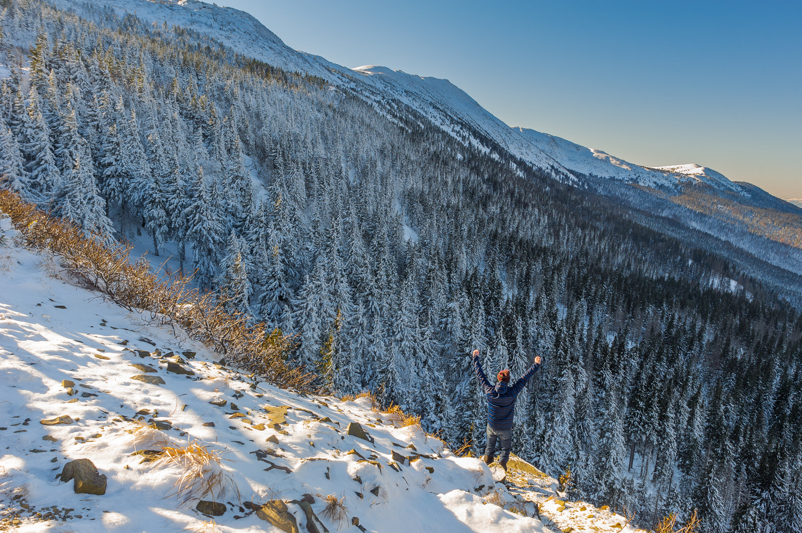 Nikon D700 sample photo. Freedom in mountains photography