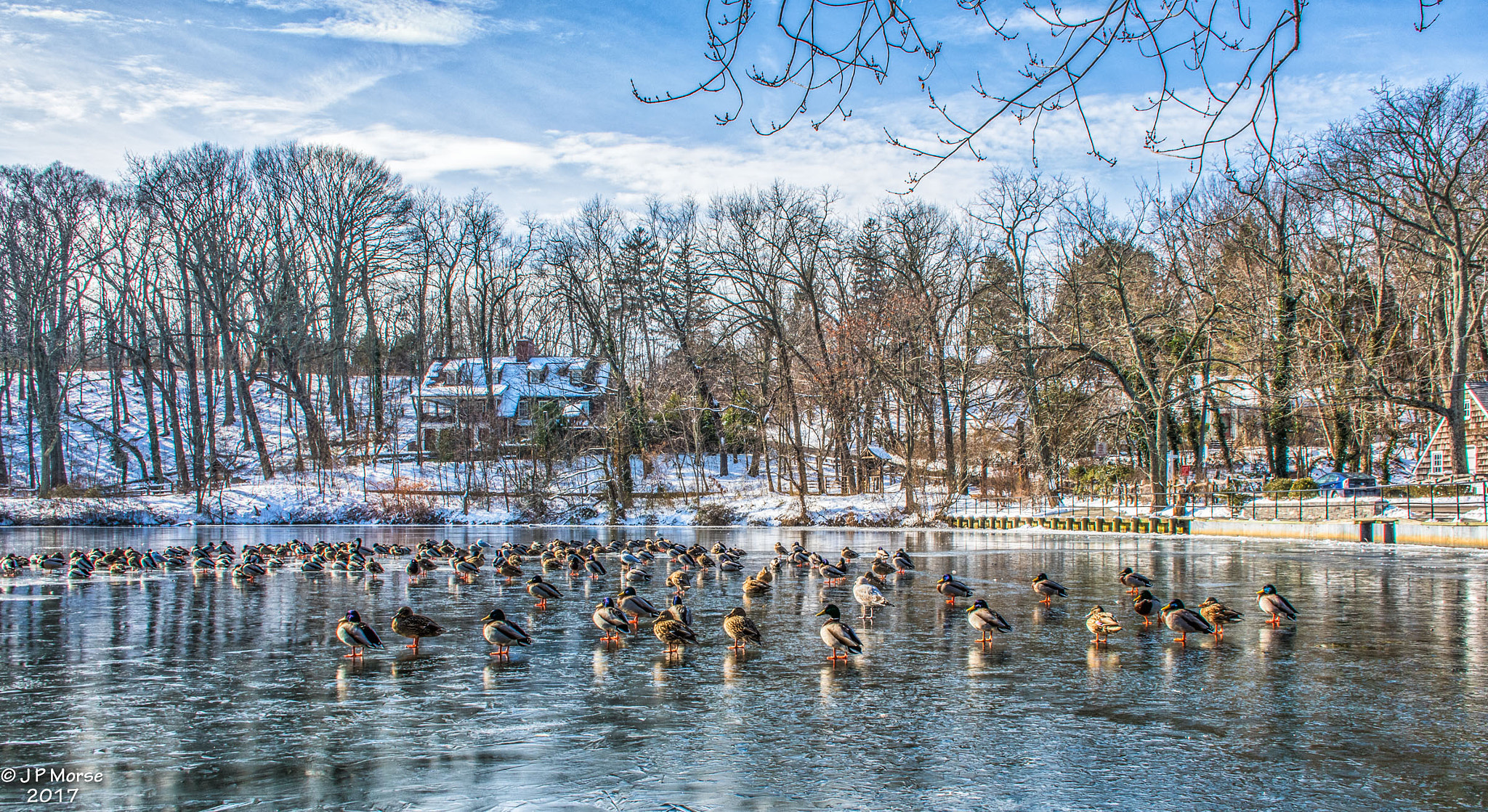 Nikon D500 sample photo. Avalon park photography