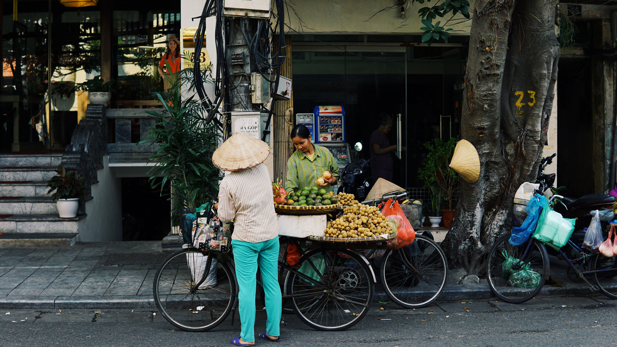 Sony a6000 sample photo. "nguoi ban rong" photography