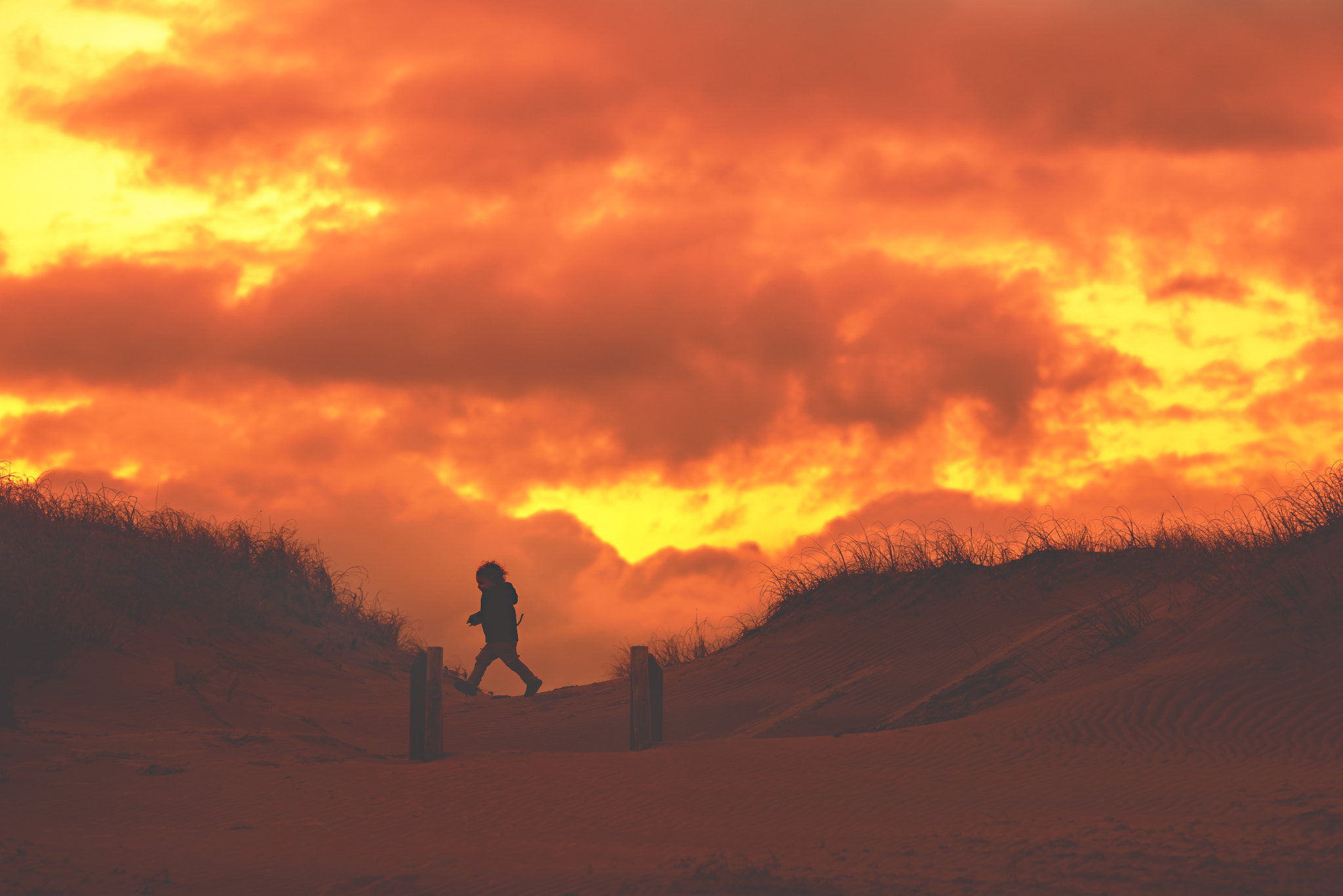 Canon EOS 5D Mark IV + Canon EF 135mm F2L USM sample photo. Running between the dunes photography