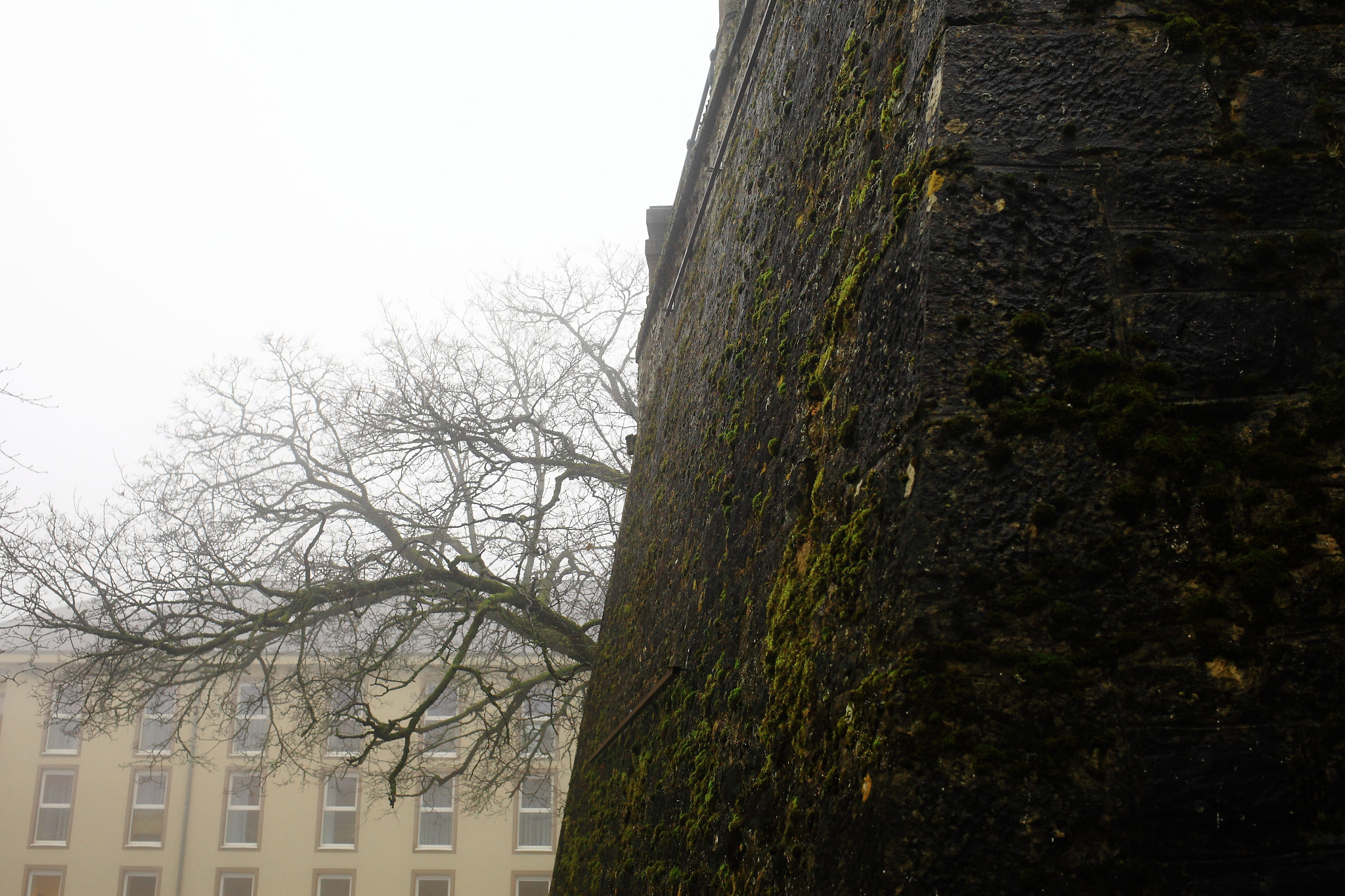 Canon EF 35mm F2 IS USM sample photo. Green castle photography