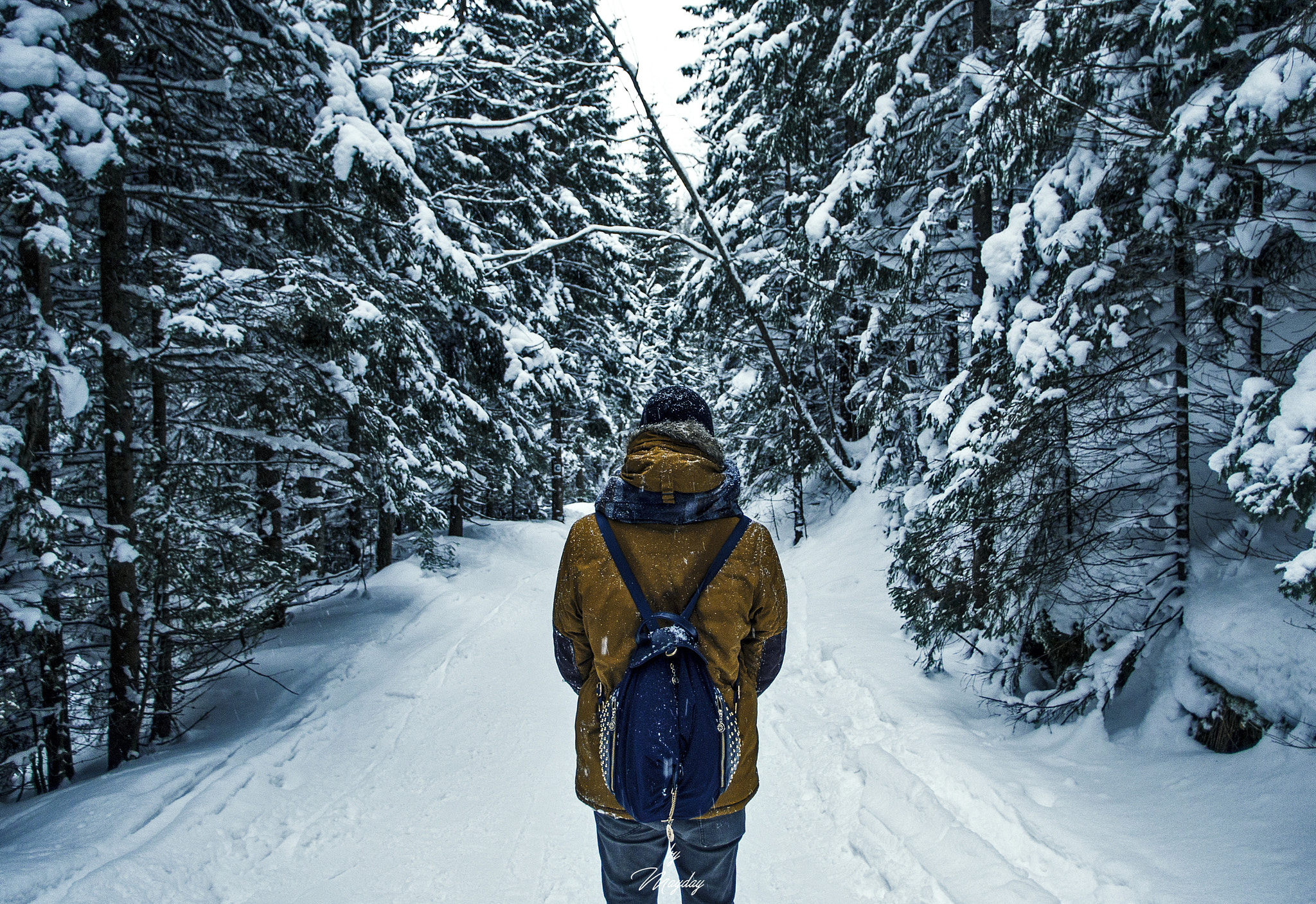 HD Pentax DA 15mm F4 ED AL Limited sample photo. Snowland photography