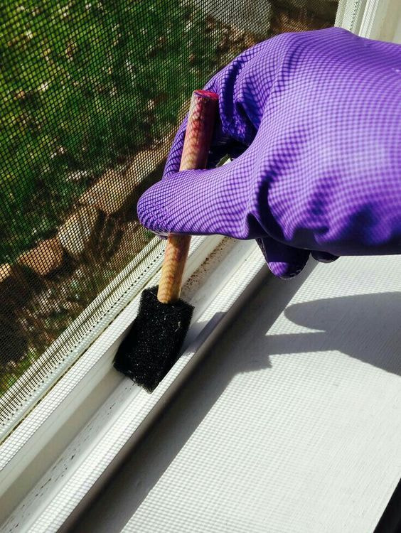 WindowCleanServ