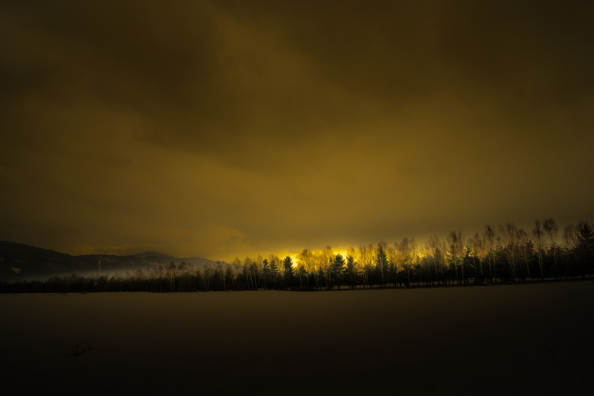 Sony SLT-A65 (SLT-A65V) + Sony DT 18-55mm F3.5-5.6 SAM sample photo. α ｙｆ photography
