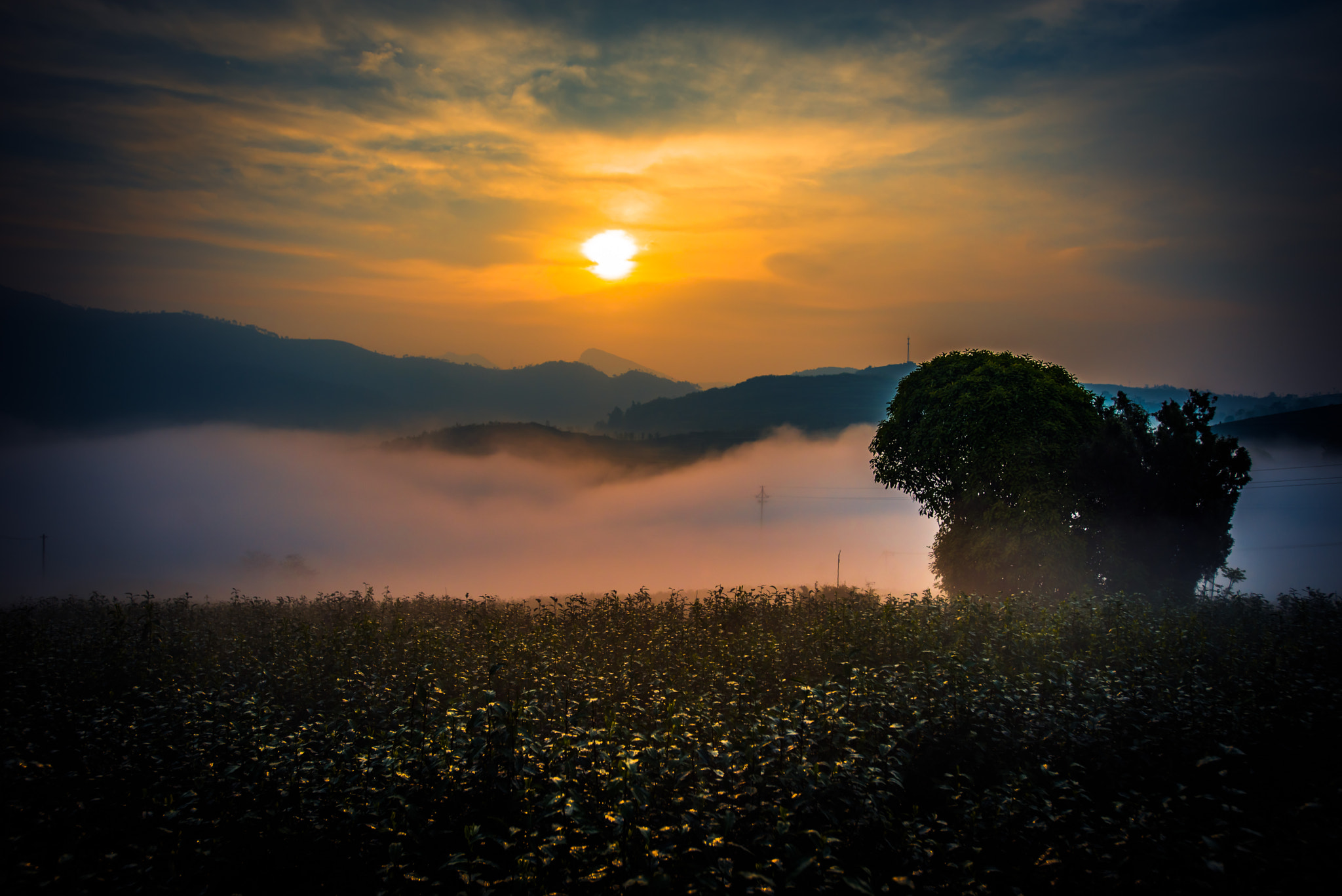 Nikon AF-S Nikkor 17-35mm F2.8D ED-IF sample photo. Morning fog photography